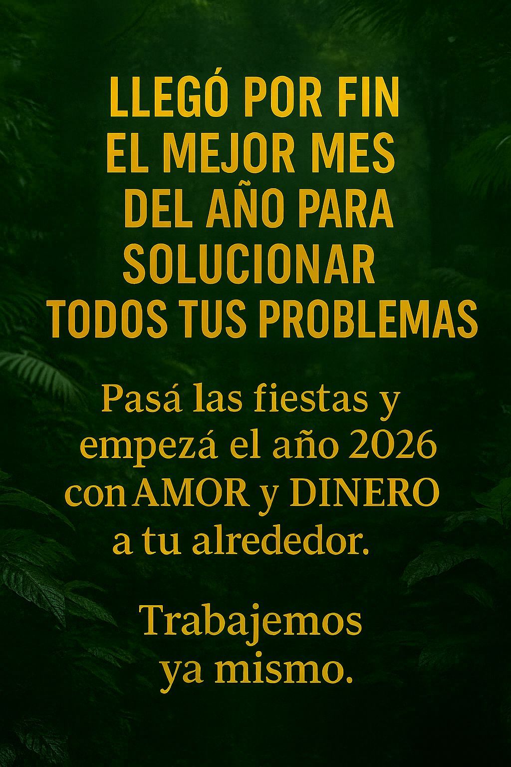 Promoción Navideña